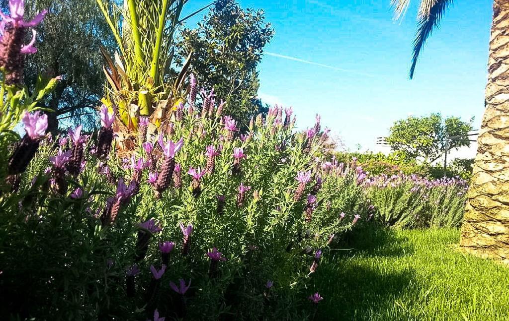 Agriturismo Masseria Calongo Cisternino Bagian luar foto