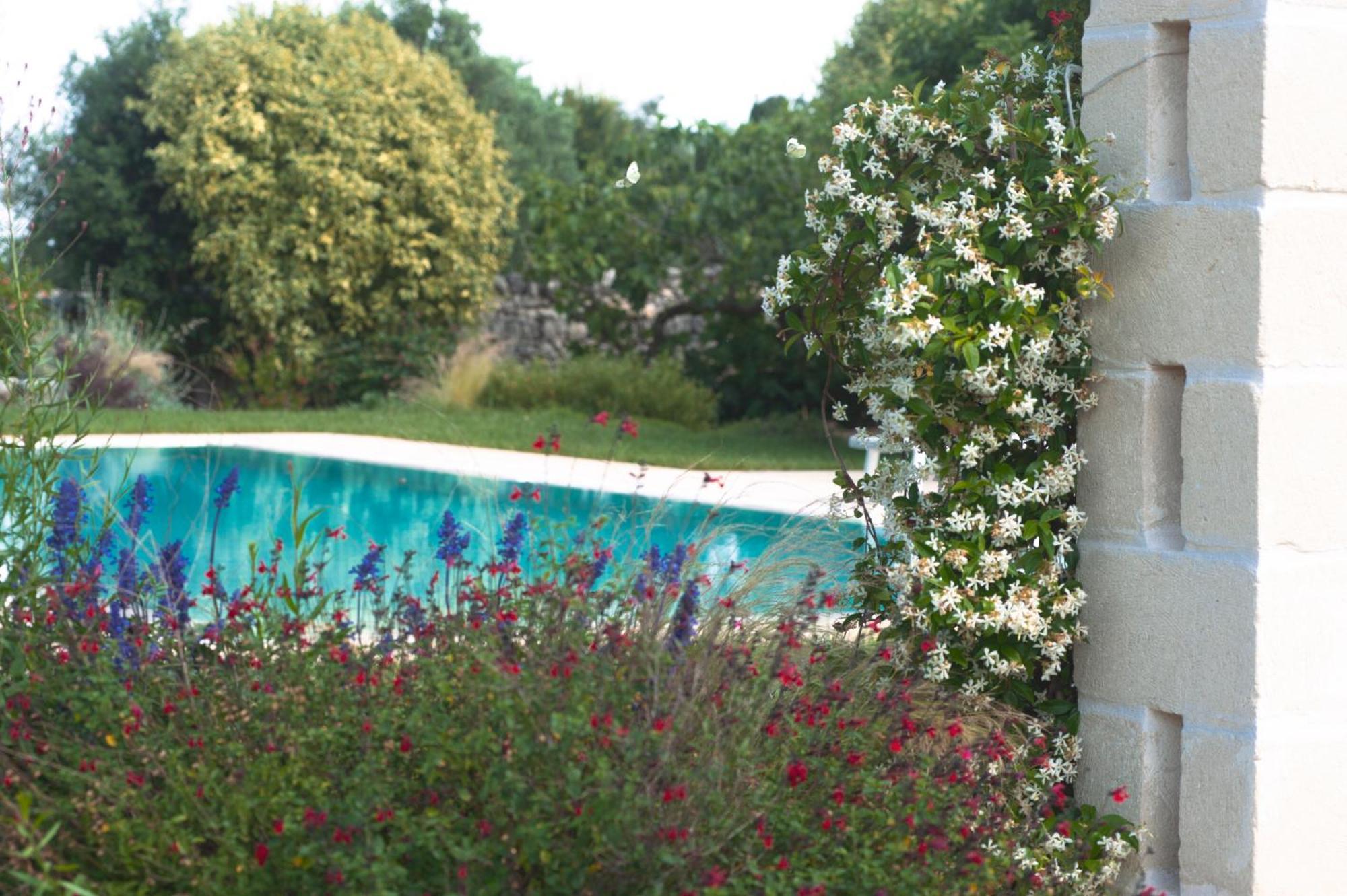 Agriturismo Masseria Calongo Cisternino Bagian luar foto