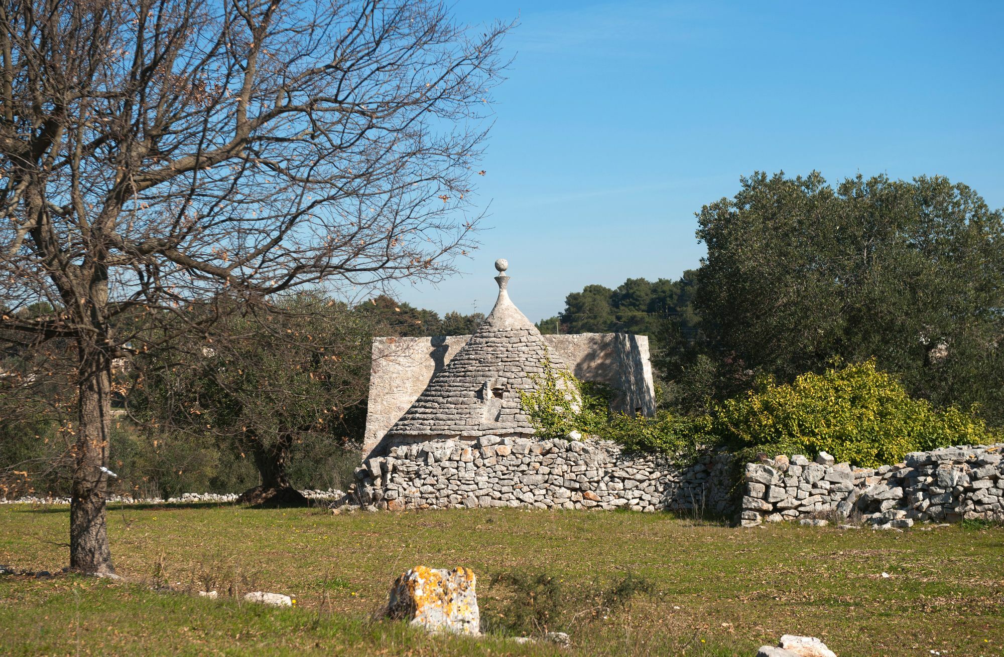 Agriturismo Masseria Calongo Cisternino Bagian luar foto